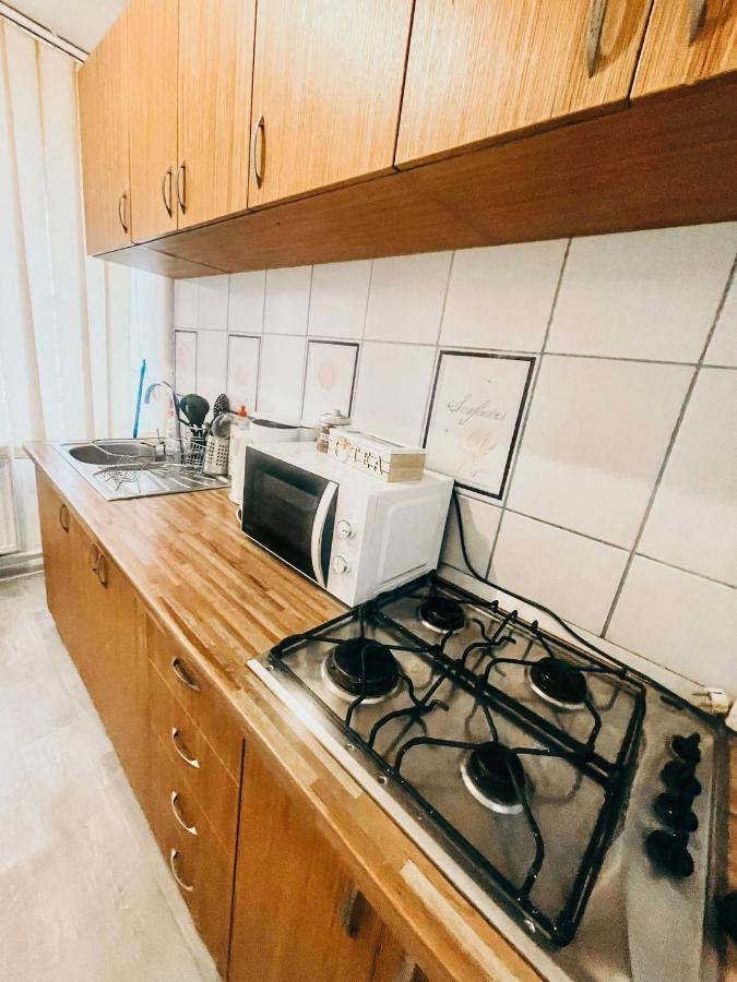 Ultracentral Big Apartment - Near The Opera Square P17 Timisoara Luaran gambar