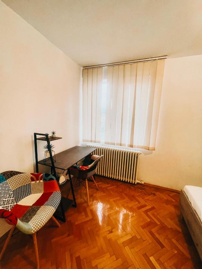 Ultracentral Big Apartment - Near The Opera Square P17 Timisoara Luaran gambar