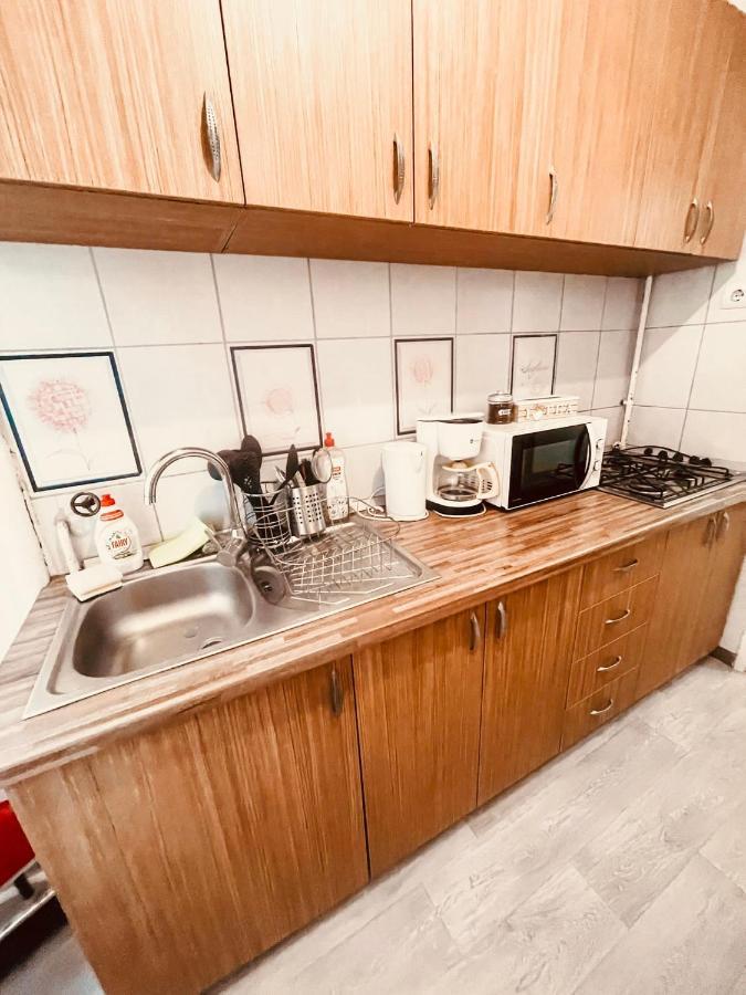 Ultracentral Big Apartment - Near The Opera Square P17 Timisoara Luaran gambar