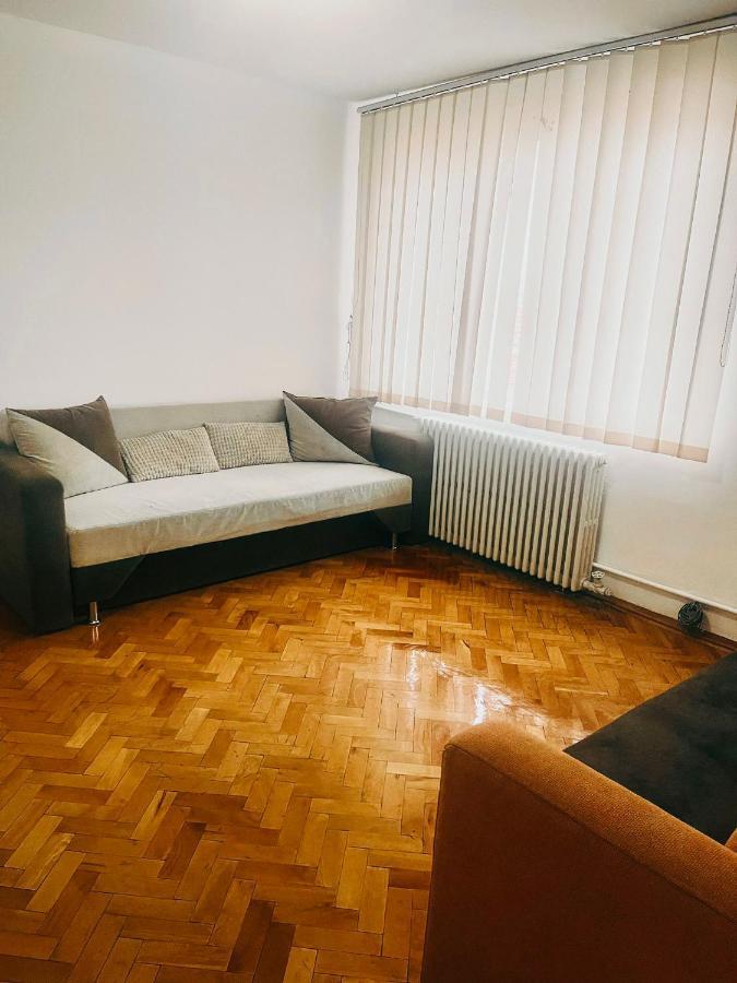 Ultracentral Big Apartment - Near The Opera Square P17 Timisoara Luaran gambar