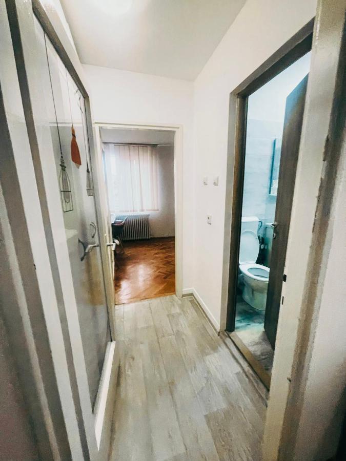 Ultracentral Big Apartment - Near The Opera Square P17 Timisoara Luaran gambar